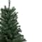 2ft. Unlit Blackwater Fir Artificial Christmas Tree